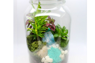 Plant Nite: Tropical Terrarium in Glass Jar (Ages 13+)